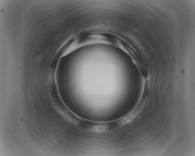 X0000086230168200703291339
