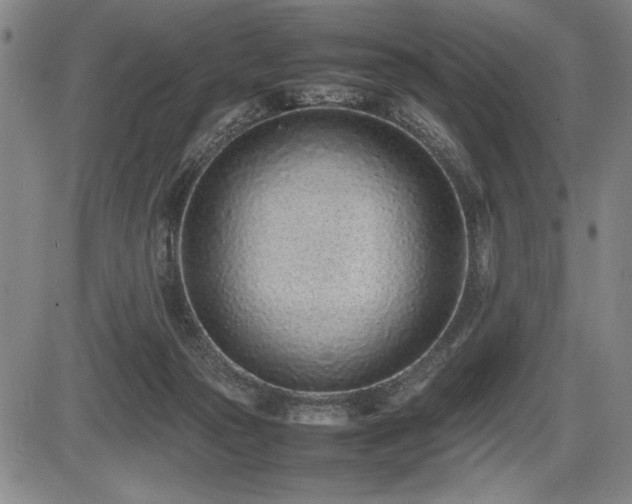 X0000086230169200703291339