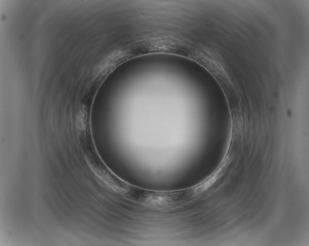 X0000086230174200703291339