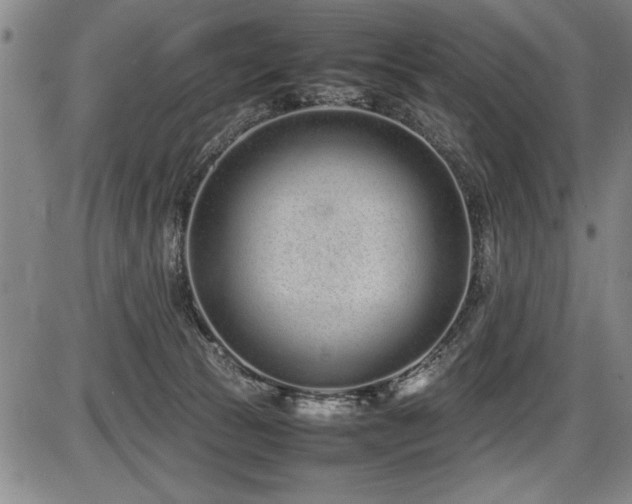 X0000086230177200703291339