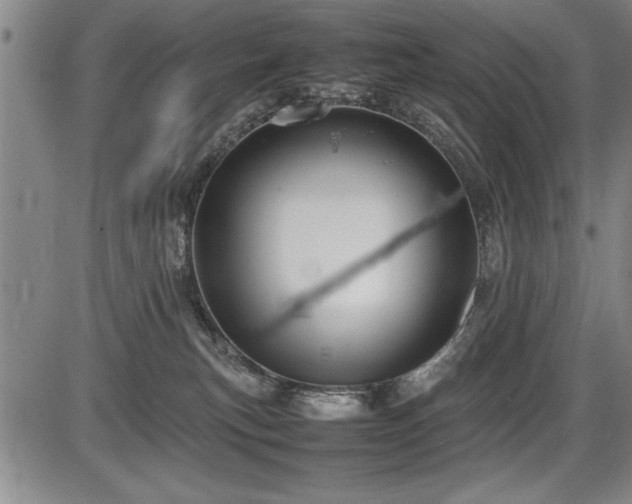 X0000086230183200703291339