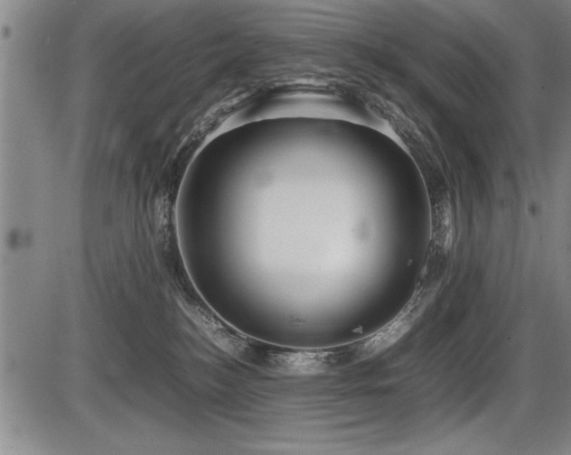 X0000086230184200703291339