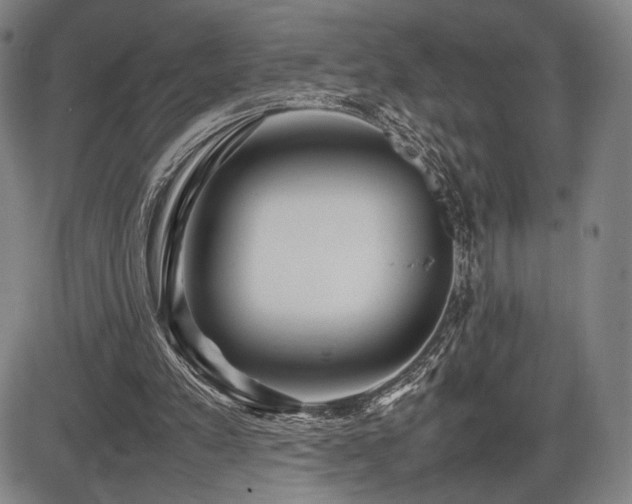X0000086230197200703291338