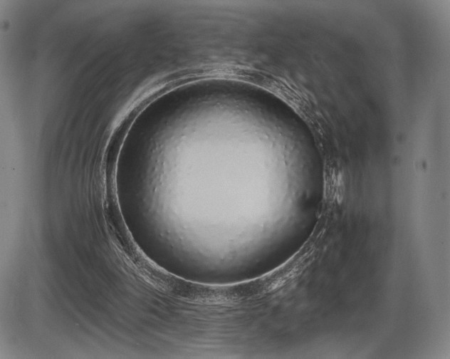 X0000086230198200703291338