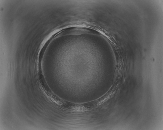 X0000086230200200703291338