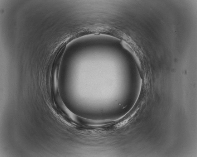 X0000086230201200703291338