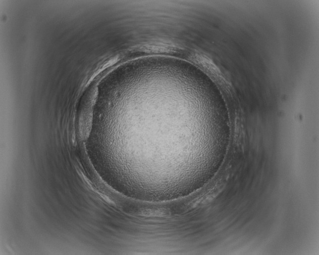X0000086230202200703291338