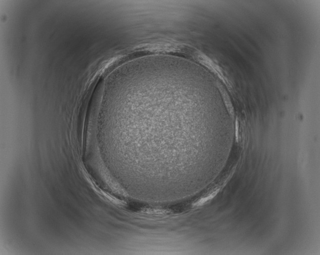 X0000086230205200703291338