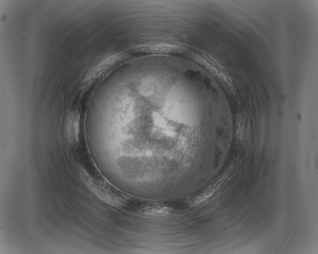 X0000086230206200703291338
