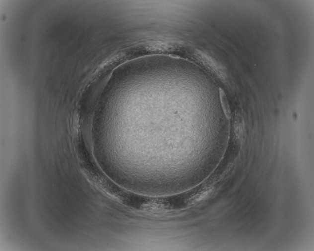X0000086230211200703291338
