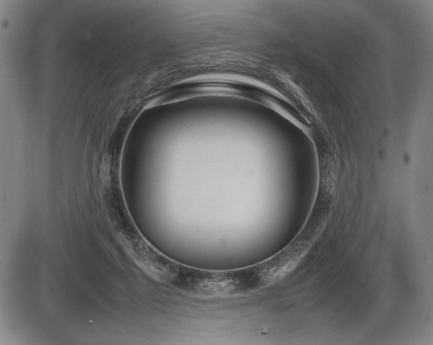 X0000086230213200703291338