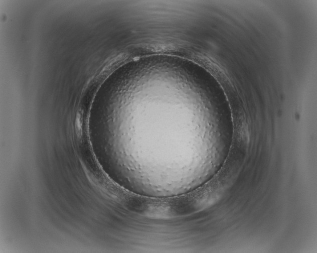X0000086230214200703291338
