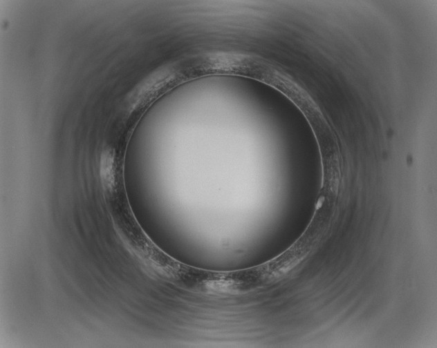 X0000086230216200703291338