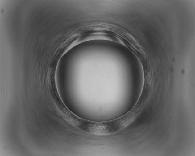 X0000086230217200703291338