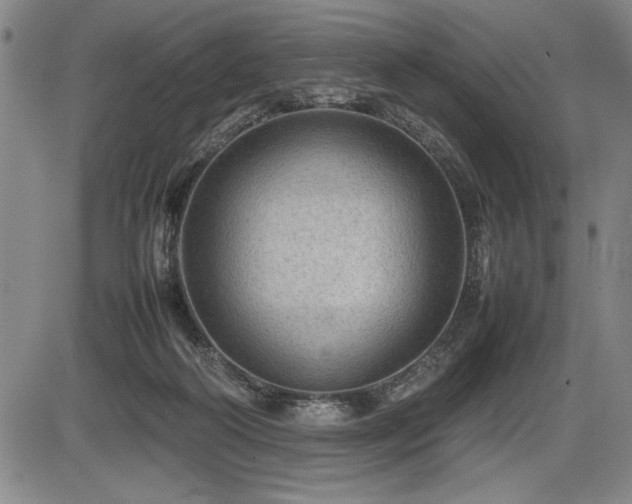 X0000086230218200703291338