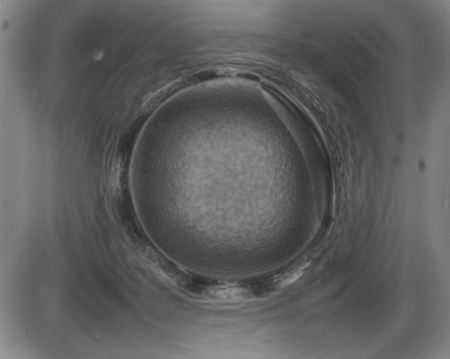 X0000086230219200703291338