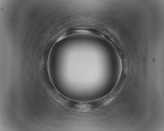 X0000086230221200703291338