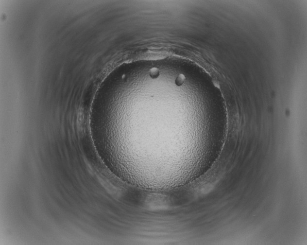 X0000086230222200703291338