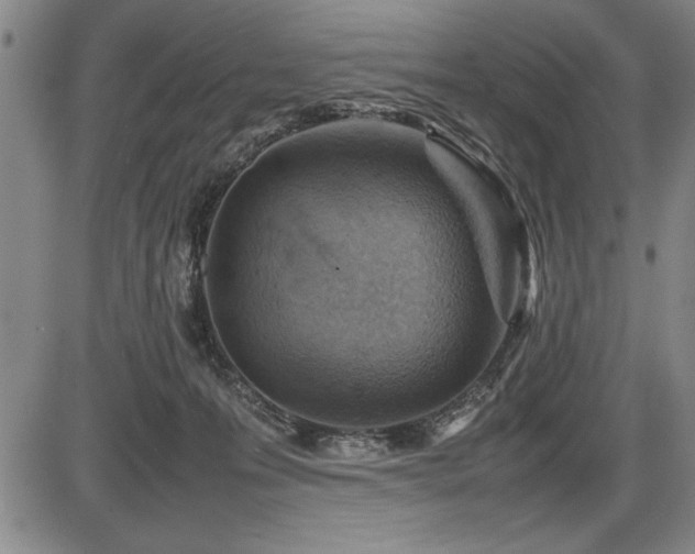 X0000086230223200703291338