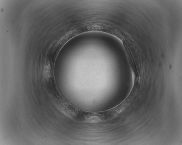 X0000086230224200703291338