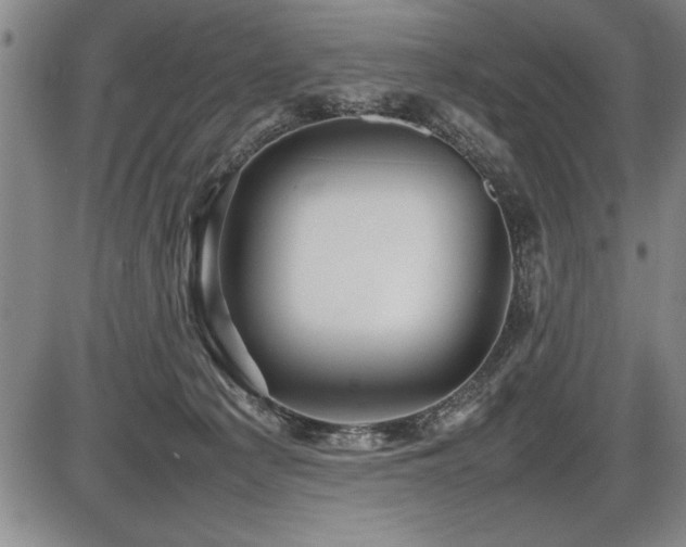 X0000086230225200703291338