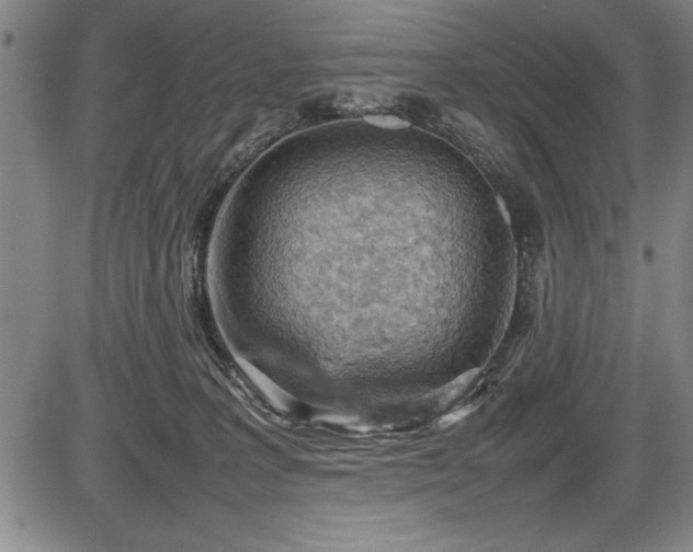 X0000086230227200703291338