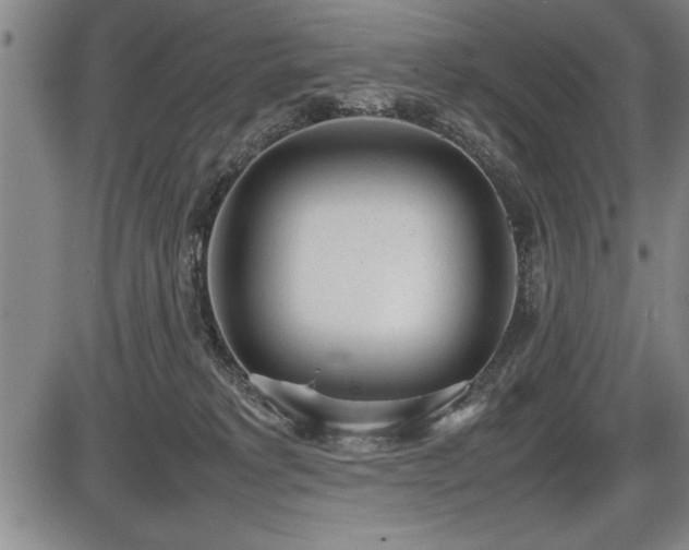 X0000086230229200703291338