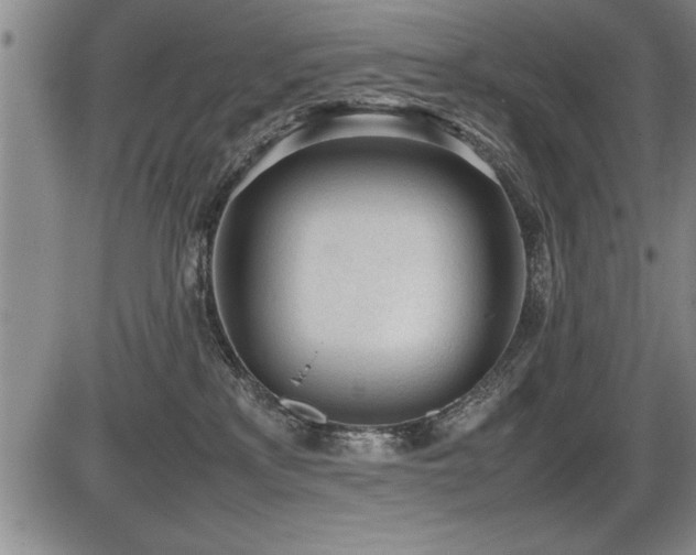 X0000086230233200703291338