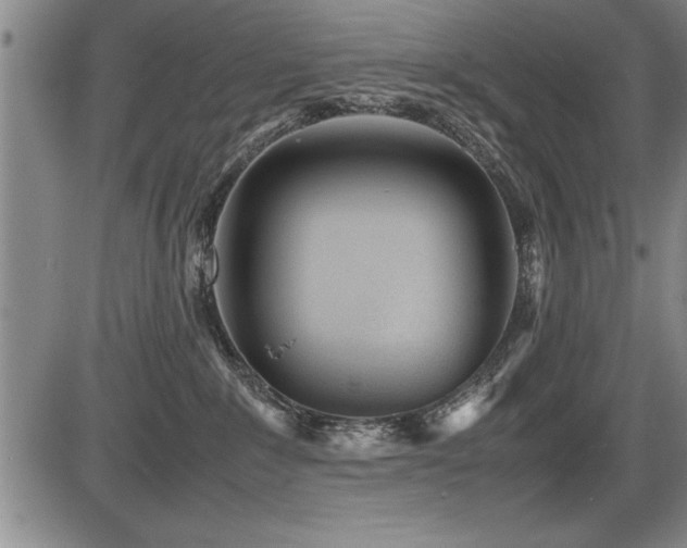 X0000086230235200703291337