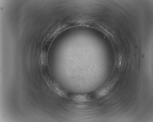 X0000086230236200703291337