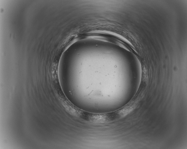 X0000086230237200703291337