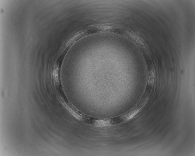 X0000086230238200703291337
