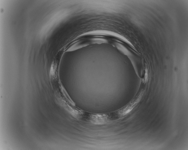 X0000086230239200703291337