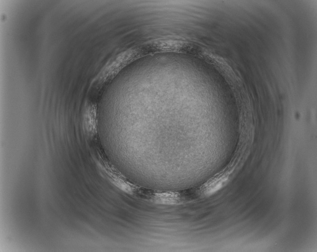 X0000086230240200703291337