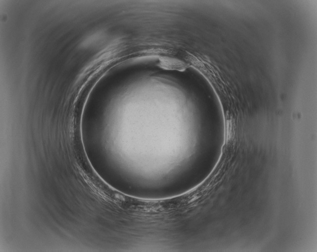 X0000086230243200703291337