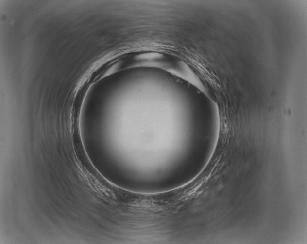 X0000086230244200703291337