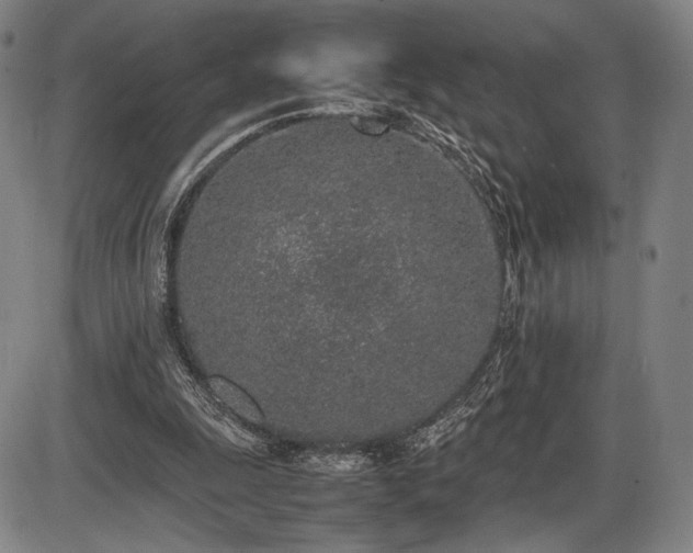 X0000086230247200703291337