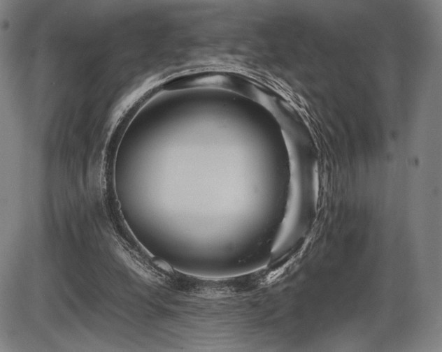 X0000086230248200703291337