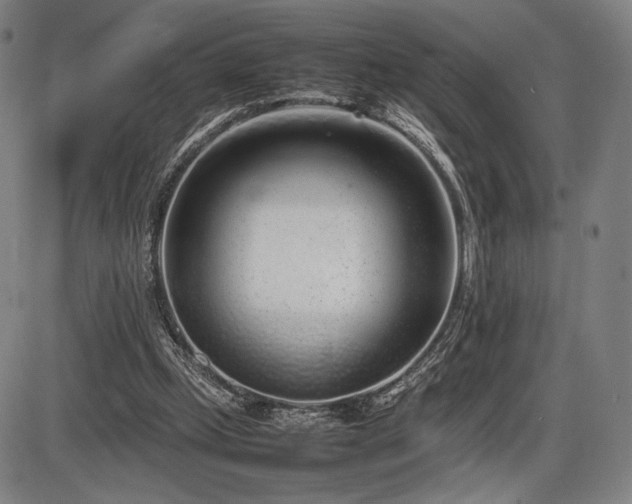X0000086230249200703291337