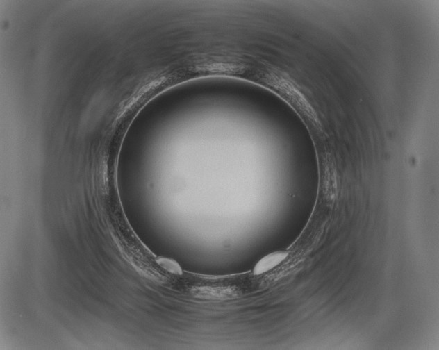 X0000086230251200703291337