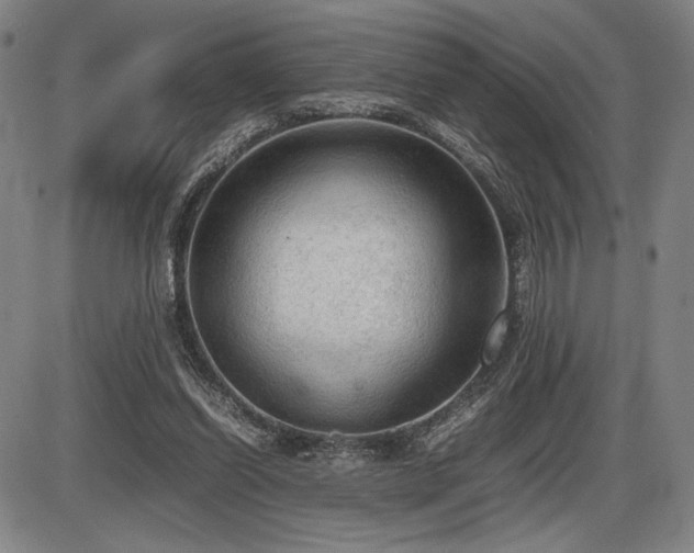 X0000086230254200703291337