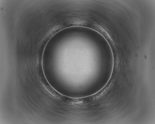 X0000086230257200703291337