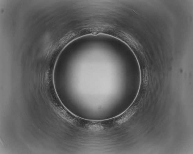 X0000086230258200703291337