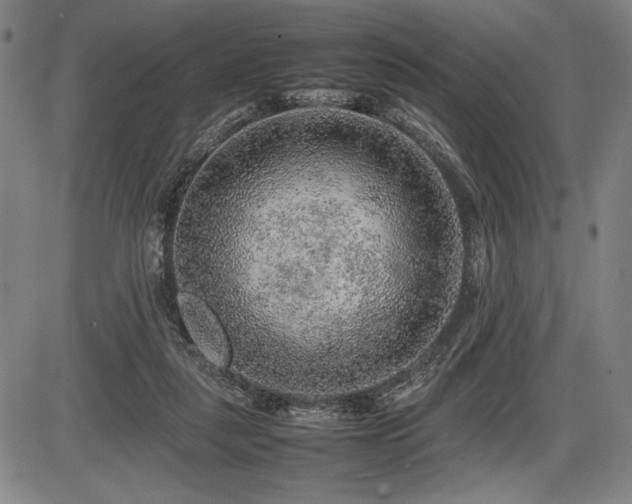 X0000086230259200703291337