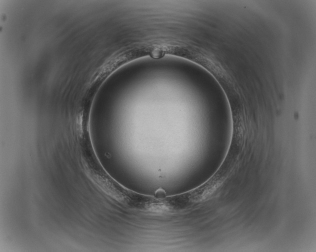 X0000086230262200703291337