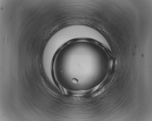 X0000086230264200703291337