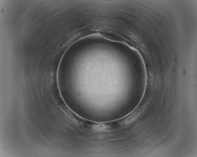 X0000086230269200703291337