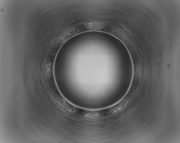 X0000086230271200703291337
