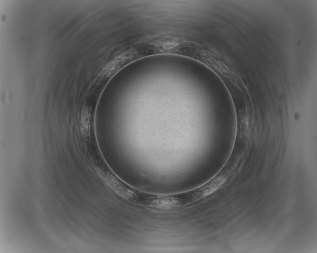X0000086230274200703291337