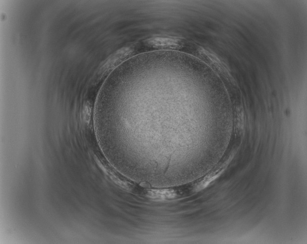 X0000086230281200703291337